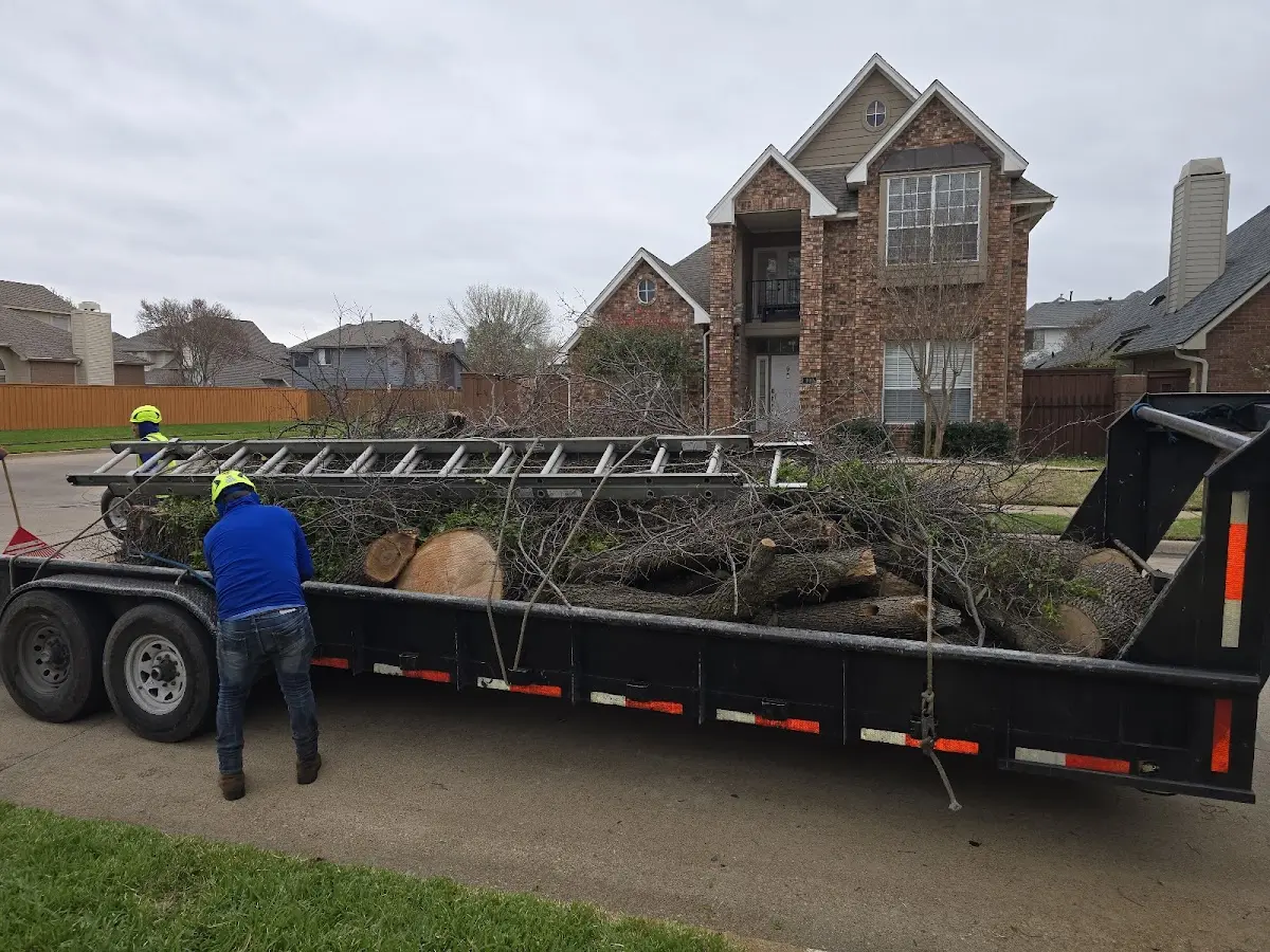 Expert Tree Removal with proper safety equipment in Piedmont